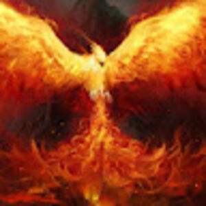 amirmohammadk avatar