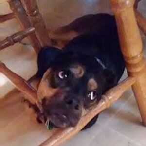 isaacdeyarmin avatar