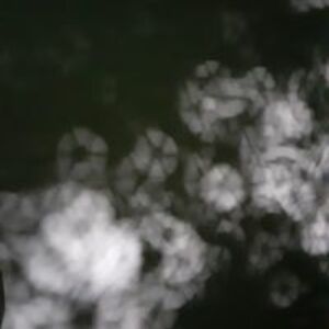 cynthiaj3cynthia avatar