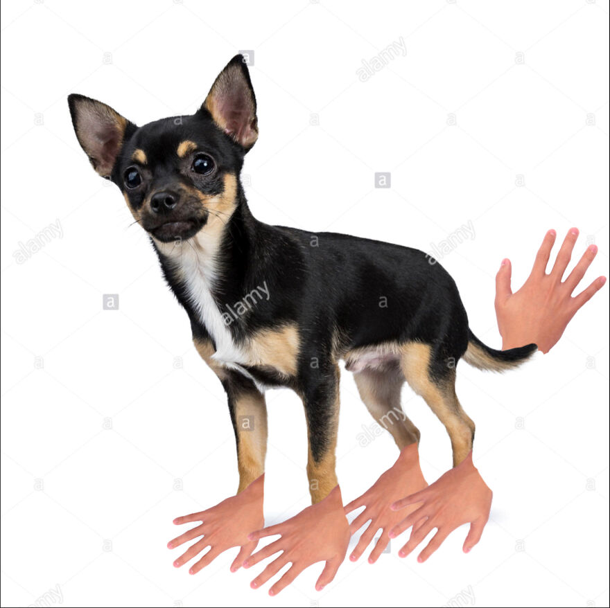 40 Low-Effort Photoshop Mythical Creatures