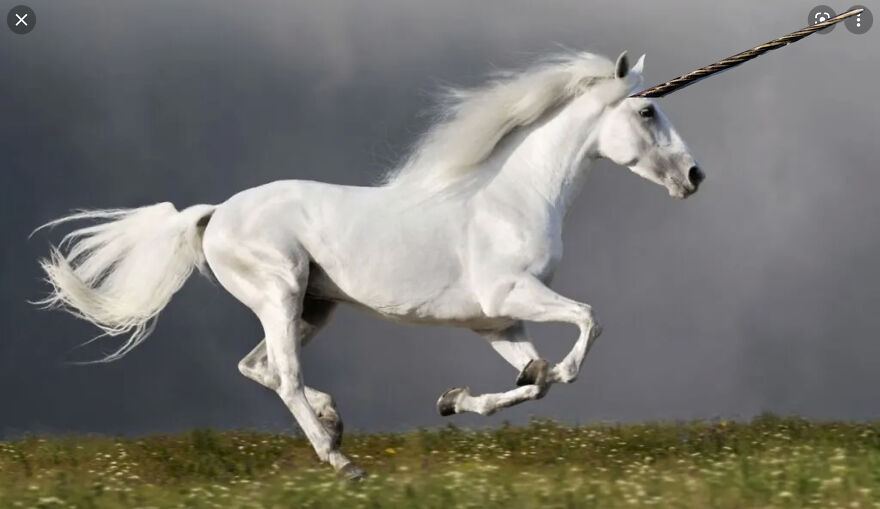 40 Low-Effort Photoshop Mythical Creatures