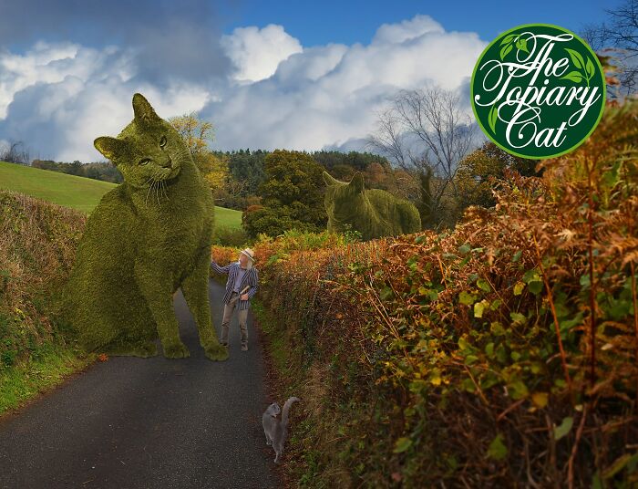 This 75-Year-Old Artist Creates Edits Of Bushes In Honor Of His Deceased Cat