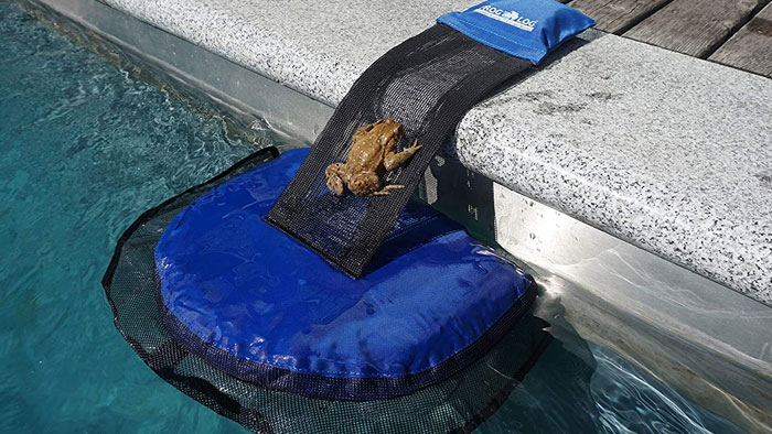 una rampa de escape para animales en piscinas. Esto podría ser extremadamente importante para cualquier animal que pudiera ahogarse en la piscina de alguien