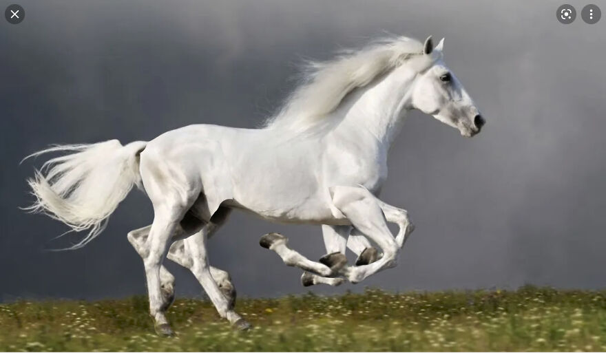 40 Low-Effort Photoshop Mythical Creatures