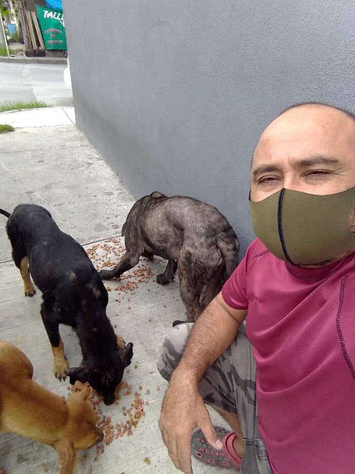 Man Rescued A Dog That Bit Him And His Story Went Viral Man Rescued A Dog That Bit Him And His Story Went Viral