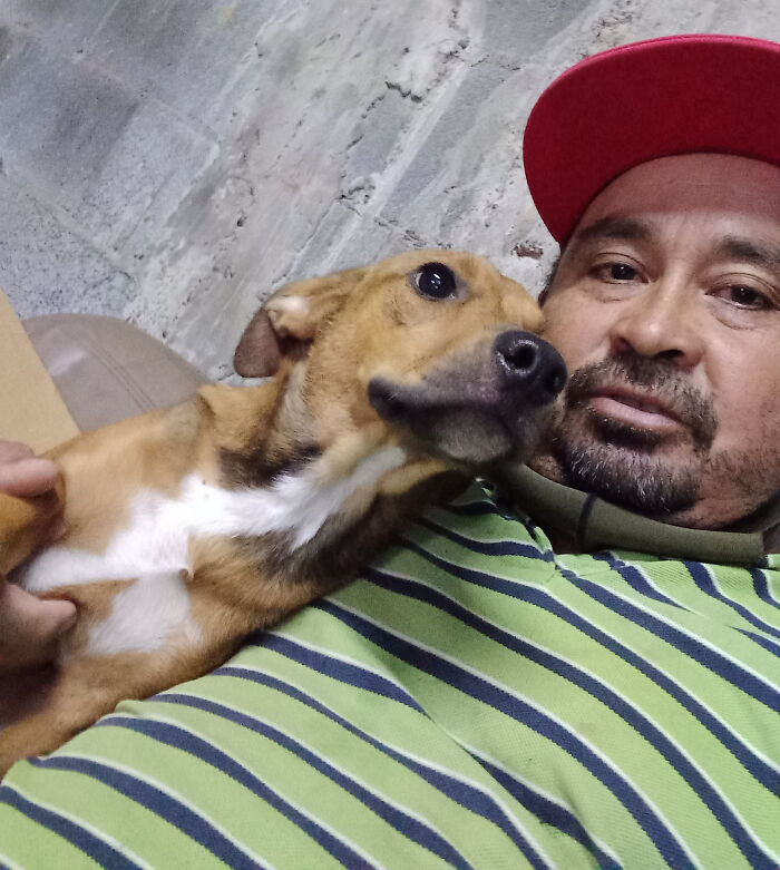 Man Rescued A Dog That Bit Him And His Story Went Viral