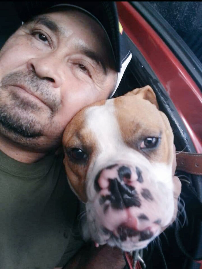 Man Rescued A Dog That Bit Him And His Story Went Viral | Bored Panda