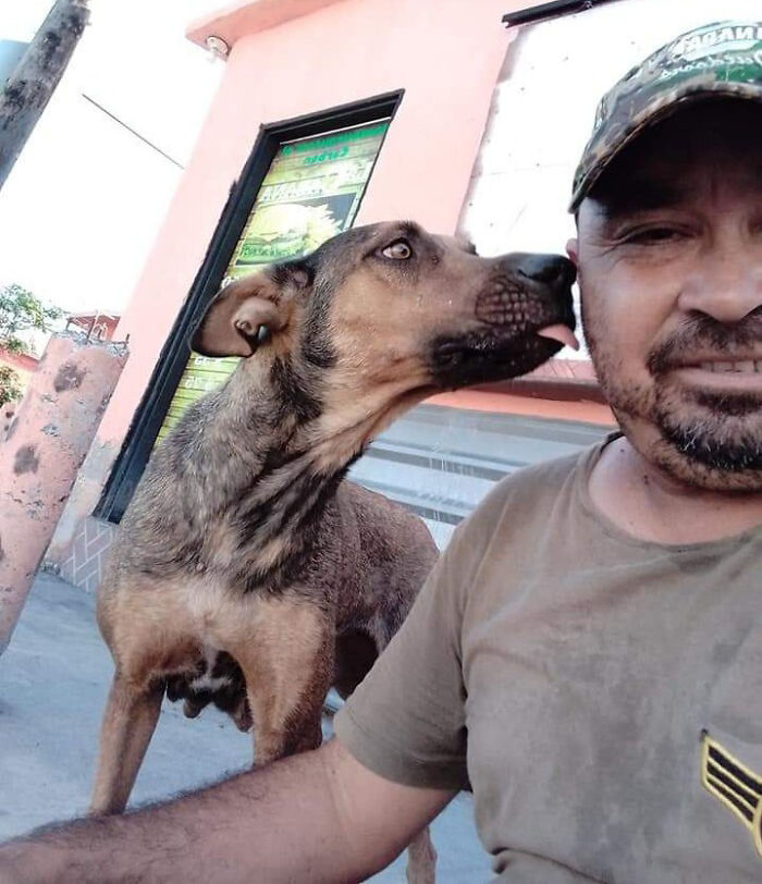 Man Rescued A Dog That Bit Him And His Story Went Viral Man Rescued A Dog That Bit Him And His Story Went Viral