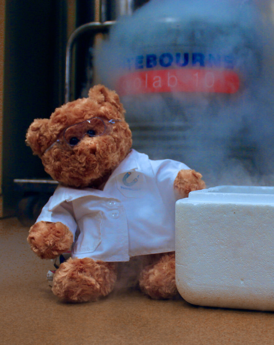 We Made These Adorable Scientist Teddy Bears For A Child Advocacy Center