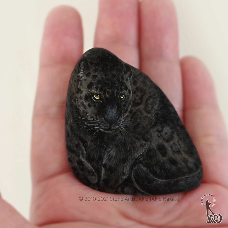 Akie Nakata, Japanese Artist Turns Stones Into Art And The Result Is Amazing (New Pics)
