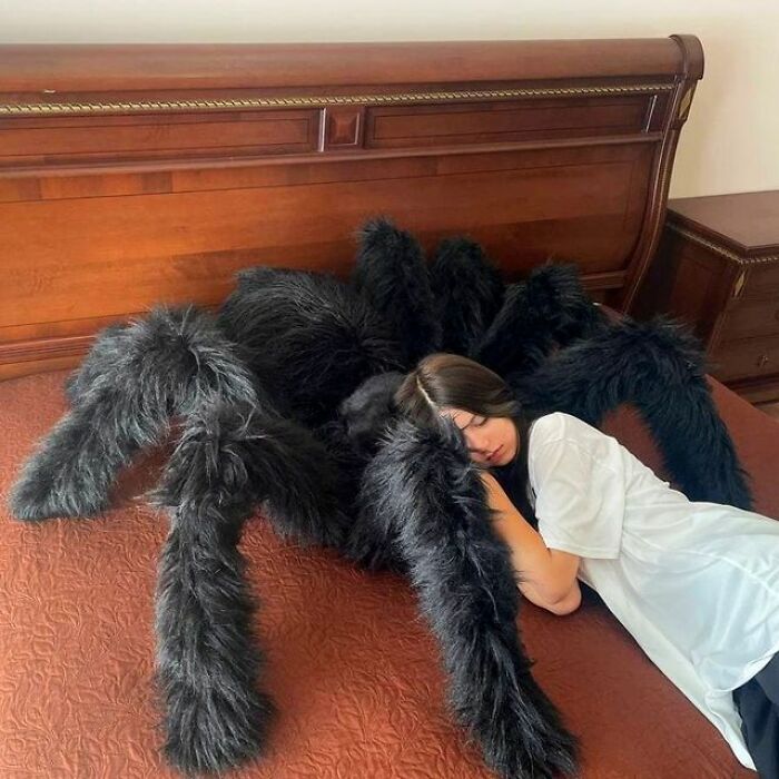 Housewarming Gift Idea: A Giant Spider Pillow From This Online Shop Housewarming Gift Idea: A Giant Spider Pillow From This Online Shop