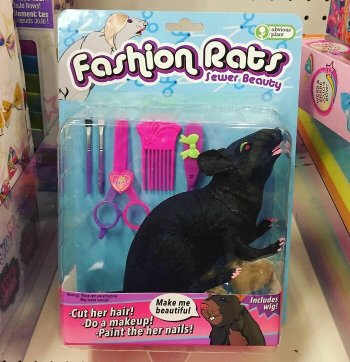 Fashion Rats. Anyone Can Be Beautiful, Even Rats! Fashion Rats Come With Glammed Out Makeup, Painted Nails, And A Wig That You Can Cut And Style! Now That’s Rattractive!