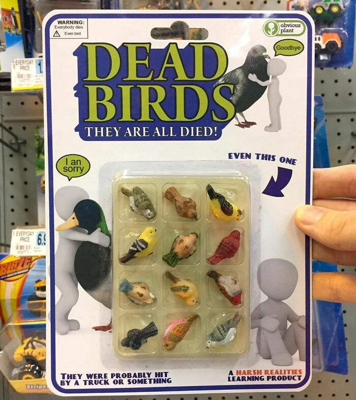 Dead Birds Is At A Rite-Aid In Hollywood On Western Ave