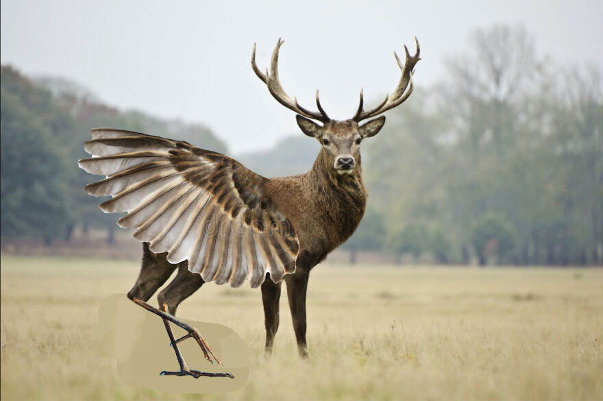 40 Low-Effort Photoshop Mythical Creatures