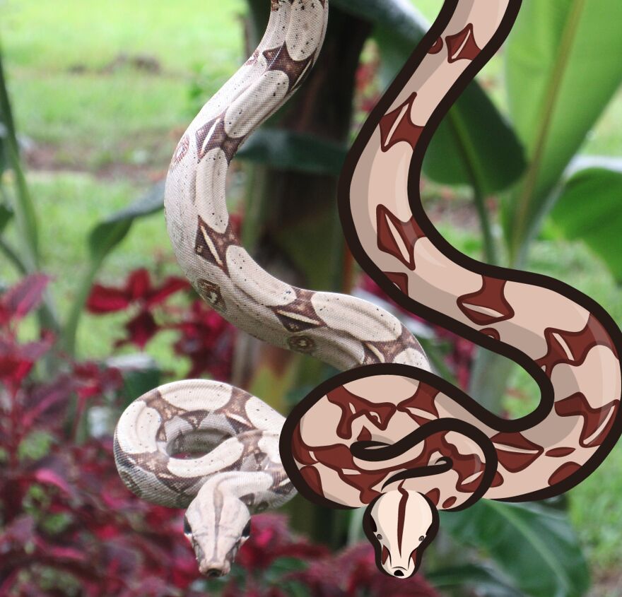 We Spent 2 Months In The Amazon And Made A Board Game About It! We Spent 2 Months In The Amazon And Made A Board Game About It!