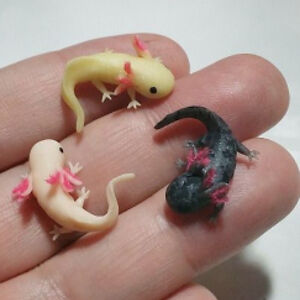 sweetapplelyra avatar