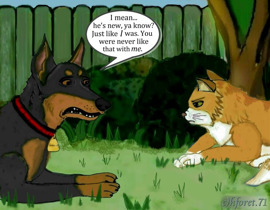 "Boundaries..." "Boundaries..."