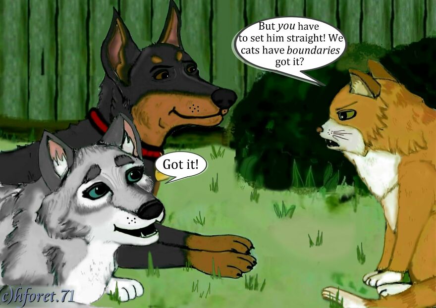 "Boundaries..." "Boundaries..."