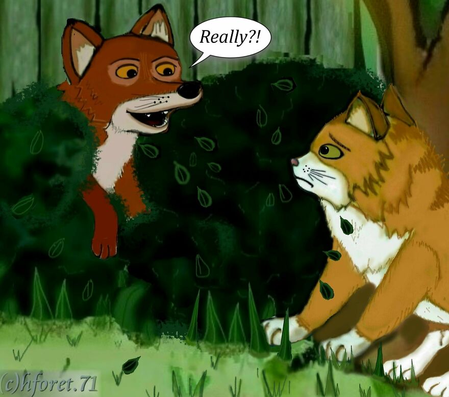 "Boundaries..." "Boundaries..."