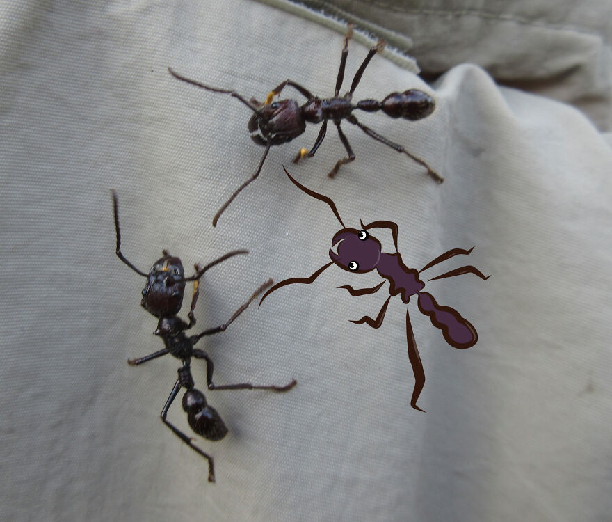 We Spent 2 Months In The Amazon And Made A Board Game About It!