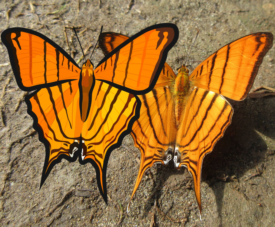 We Spent 2 Months In The Amazon And Made A Board Game About It! We Spent 2 Months In The Amazon And Made A Board Game About It!