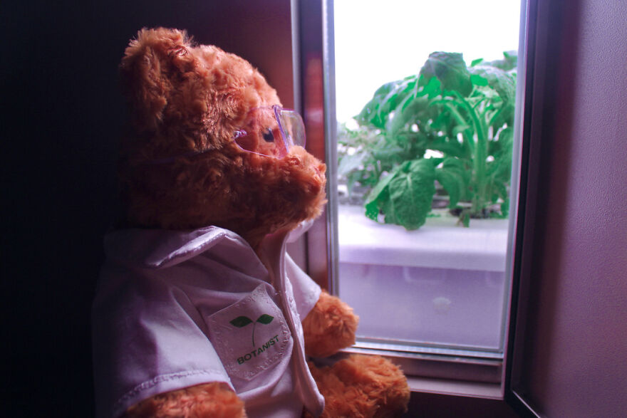 We Made These Adorable Scientist Teddy Bears For A Child Advocacy Center