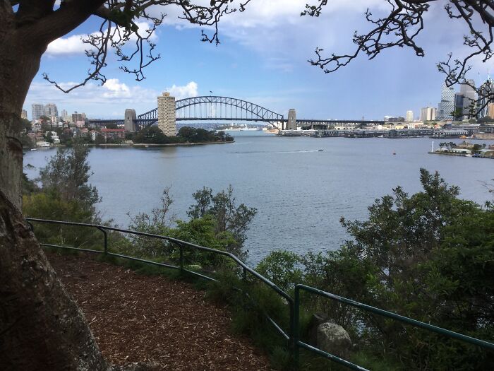 To Get A Good View Of The Harbour Bridge While In Nature, Away From Others, Go To Balls Head! Sorry For The Low Quality.