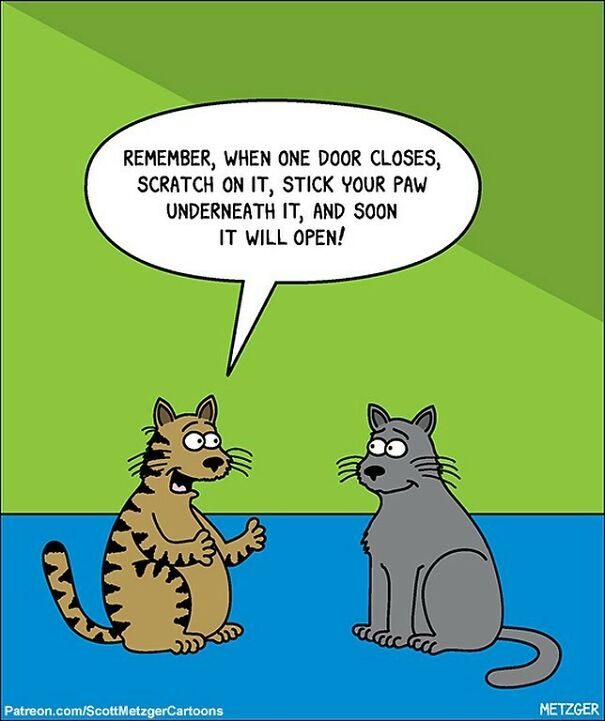 Clyde And Clarence #cats #cat #catsofinstagram #pets #wisdom
become A Patreon Member Here:
patreon.com/Scottmetzgercartoons