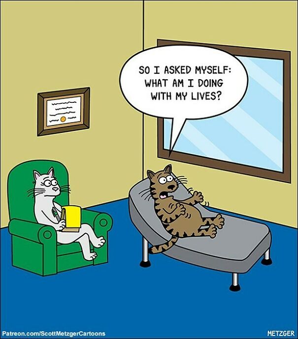 Congratulations To Paul Pantea (@abelian_cat), Who Had The Winning Entry In The Caption Contest: “So I Asked Myself: What Am I Doing With My Lives?” Nice Job, Paul! You'll Get A Free Signed Copy Of My Book Of Cat Cartoons, 50 Ways To Wake Your Human.
below Are Some Honorable Mentions. Thanks For The Great Captions!
__________________
and I Thought, What If I’m The Pet And She’s The Owner? – @elsieemme
doc, I've Tried Mice. I've Tried Lizards. But My Human Never Appreciates My Gifts! – Jon Hamblen @jonhamblen
and Once He Opens The Door For Me, I Suddenly No Longer Feel The Urge To Go Outside. –severin Richter @sellerierichter
i Just Don't Understand, Doc. I've Tried For So Long To Catch The Red Dot, But It Escapes Me Every Single Time. – Minnie And Kiwi @minnieandkiwi
oh My Gosh…you’re Right. I Am Developing Feelings For The Dog! – Melissa C. Snyder @mcd2097
sometimes I Wonder If There’s More To Life Than Just Pooping In A Box. – Michelle @twrecksflex
my Human Asked Me To Do Something. And I Did It. Am I Actually Becoming A Dog? – Steve Campen @mn_hawkifan
there Has To Be A Way To Catch The Red Dot... There Just Has To Be, Doc! – @carfortynine
my Name Is Supposed To Be Tigger, But They Call Me “Baby”, “Patootie”, “Pumpkin”! Who Am I, Doc? – Halyna And Nabi @meowkhalyna
i Just Don't Get It. I Meow At Him And Sit On His Face, But He Won't Feed Me. What Am I Doing Wrong? – @kvroman18
it’s Like, You Can Exploit Me On Tiktok All You Want, But My Kittens Didn’t Sign Up For This. – Emily Lubatkin @emilylubatkin
and Then, When I'm Sure It's In My Paws, Boom! The Red Dot Vanishes. – Brian @bthejoker
it Was Right On The Edge Of The Counter, But I Couldn't Finish The Job. If I'm No Longer "A Bad Cat", Then What Am I? – Katrina King @katking.106
she Went To The Bathroom And...she Closed The Door! – Amal Wakim Paper Artist-Beirut @amalwakimpaperartist
#cats #cat #catsofinstagram #captioncontest #50waystowakeyourhuman