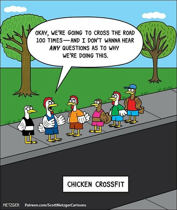 🐔👟 #crossfit #workout #chickens #tbt
patreon.com/Scottmetzgercartoons