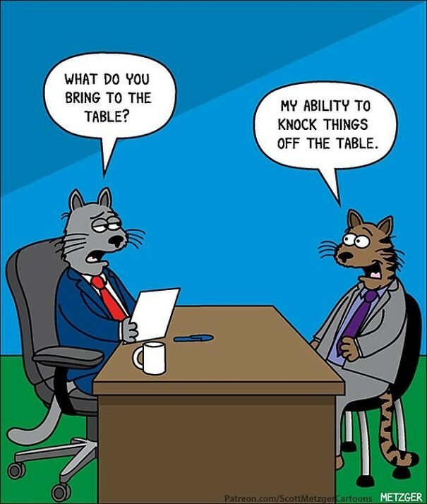 Smooooth #cat #cats #catsofinstagram #jobinterview #interview
patreon.com/Scottmetzgercartoons