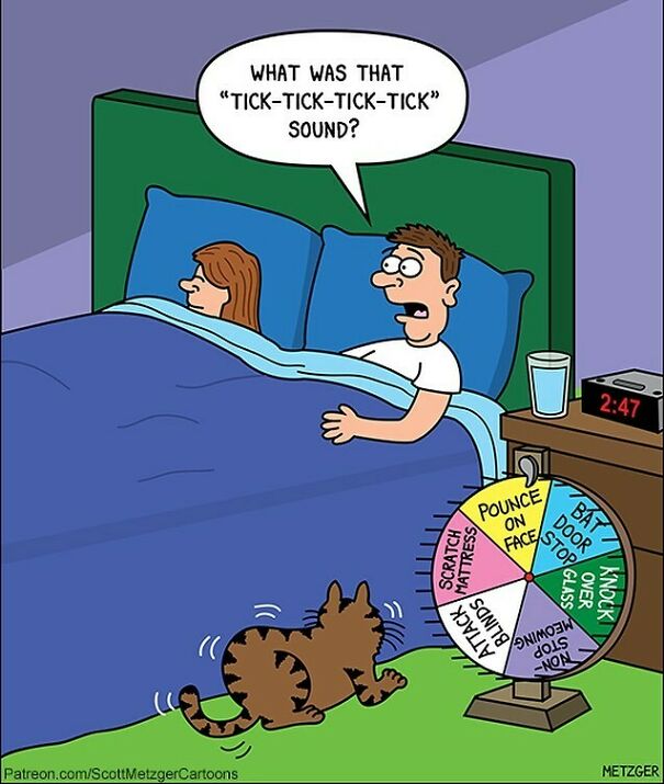 Happy Caturday! This Comic And Many Others Are In My New Book Of Cat Cartoons, 50 Ways To Wake Your Human. Link In Story Highlight In Bio. Thank You To Those Who Bought This Book And/Or Have Spread The Word About It!
#cats #cat #caturday #catsofinstagram #50waystowakeyourhuman