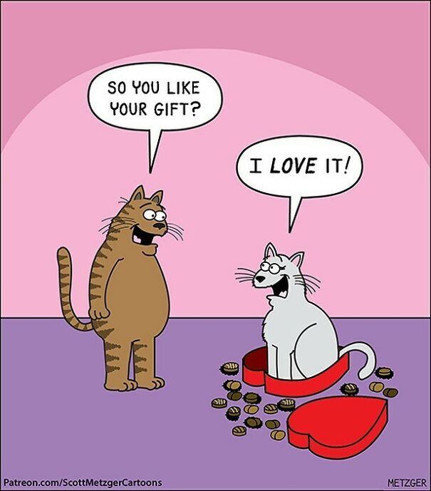 This Is Now Available As A Greeting Card With Nobleworks. Go To Nobleworkscards.com, Search Scott Metzger And You’ll Find All Of My Cards.
#valentinesday #cat #cats #greetingcards