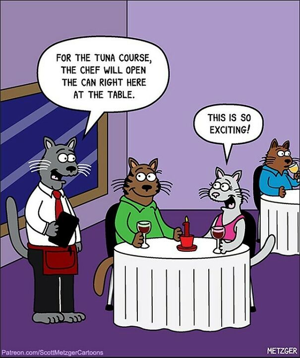 Exciting! #cat #cats #catsofinstagram #restaurant #valentinesday #datenight
my New Book Of Cat Cartoons, 50 Ways To Wake Your Human, Makes A Great Valentine's Gift For Any Cat Person. See Story Highlight For Link
