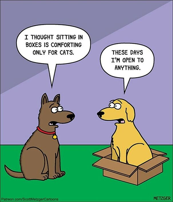 📦 #dog #dogs #dogsofinstagram #news #currentevents #copingskills
patreon.com/Scottmetzgercartoons