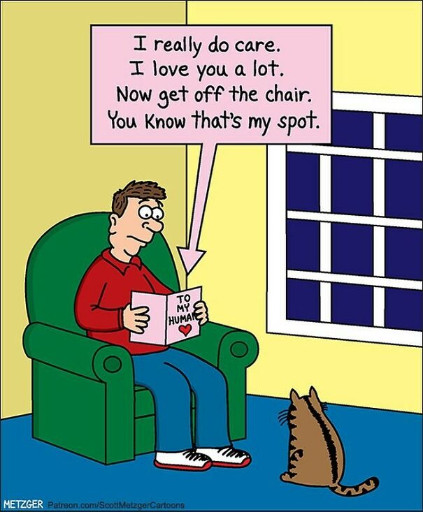 Seriously. Move. #cat #cats #caturday #valentinesday #love
support On Patreon: Patreon.com/Scottmetzgercartoons