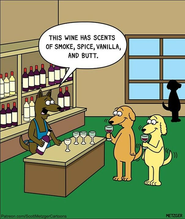 Happy National Drink Wine Day🍷 #dog #dogs #wine #nationaldrinkwineday #winetasting #tbt
patreon.com/Scottmetzgercartoons