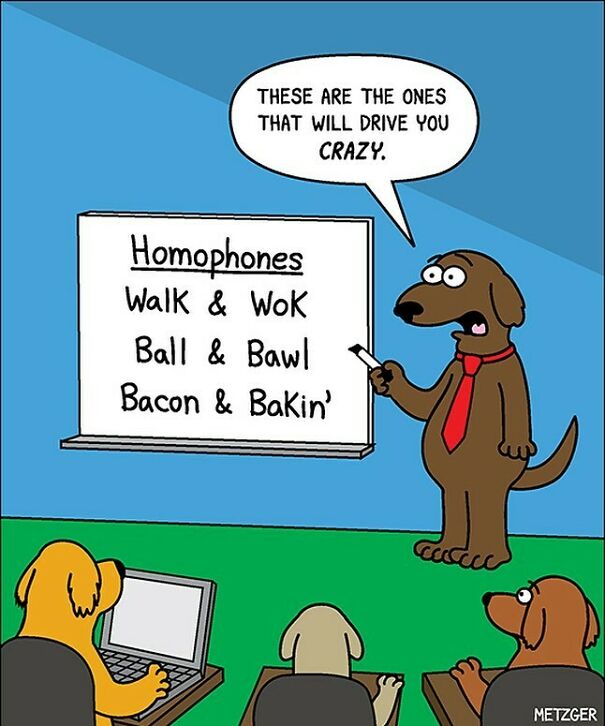 For You English Teachers Out There. #dog #dogs #english #homophones #pets
patreon.com/Scottmetzgercartoons