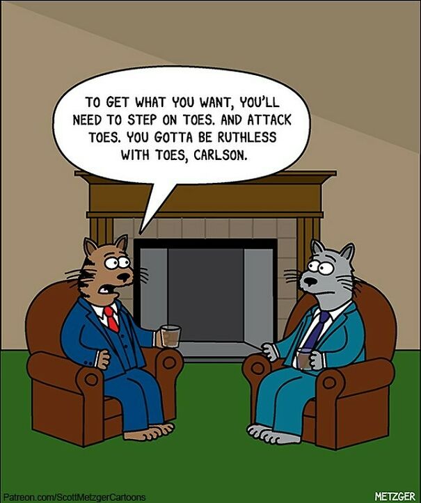 Be Especially Ruthless With Toes Under The Covers #cats #cat #catsofinstagram #advice