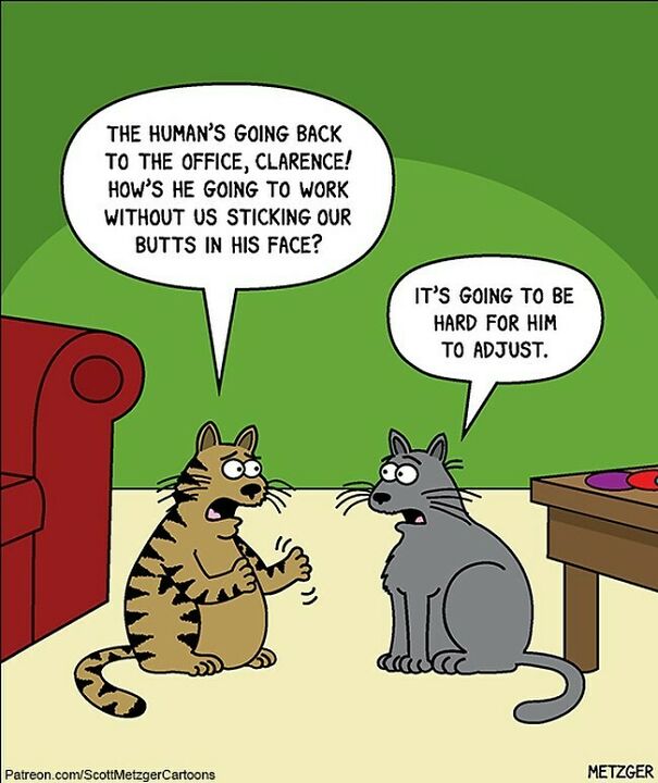 Clyde And Clarence Are Good Coworkers #cat #cats #catsofinstagram #work #pandemic #clydeandclarence
patreon.com/Scottmetzgercartoons