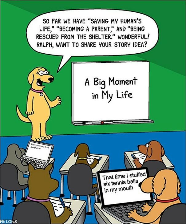 It *was* A Big Moment Though #dog #dogs #dogsofinstagram #writing #pets
patreon.com/Scottmetzgercartoons