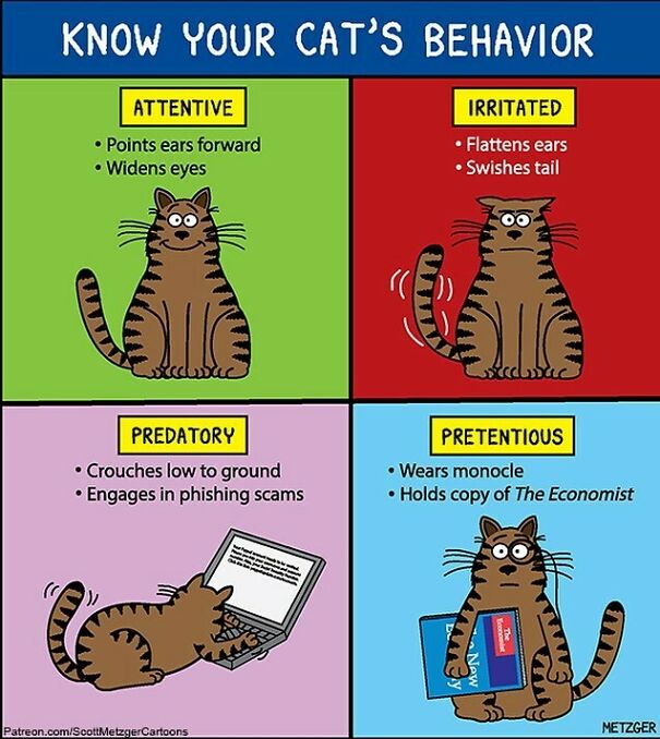 Helpful Tips #cat #cats #catsofinstagram #oldcomic
patreon.com/Scottmetzgercartoons