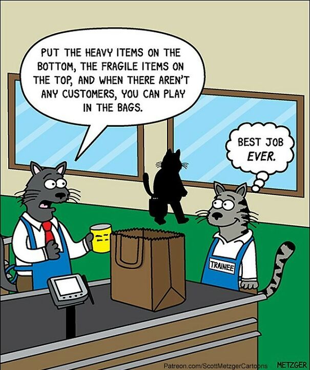 Eddie Finally Found His Dream Job. #cats #cat #catsofinstagram #work #grocerystore
patreon.com/Scottmetzgercartoons