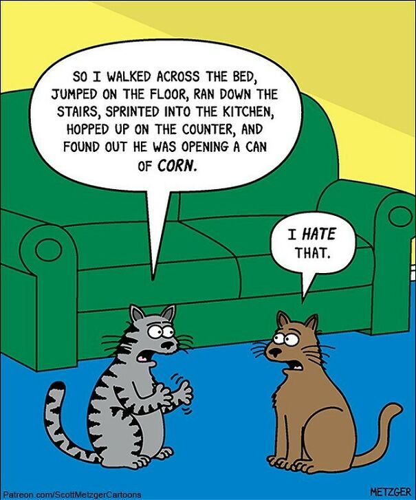 He Walked All The Way Across The Bed Too #heartbreaking #cat #cats #catsofinstagram #pets
patreon.com/Scottmetzgercartoons