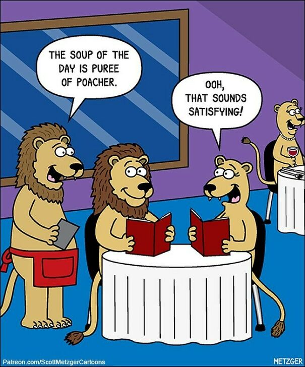 🥣 🦁 #tbt #lions #restaurant #restaurants #soup
patreon.com/Scottmetzgercartoons