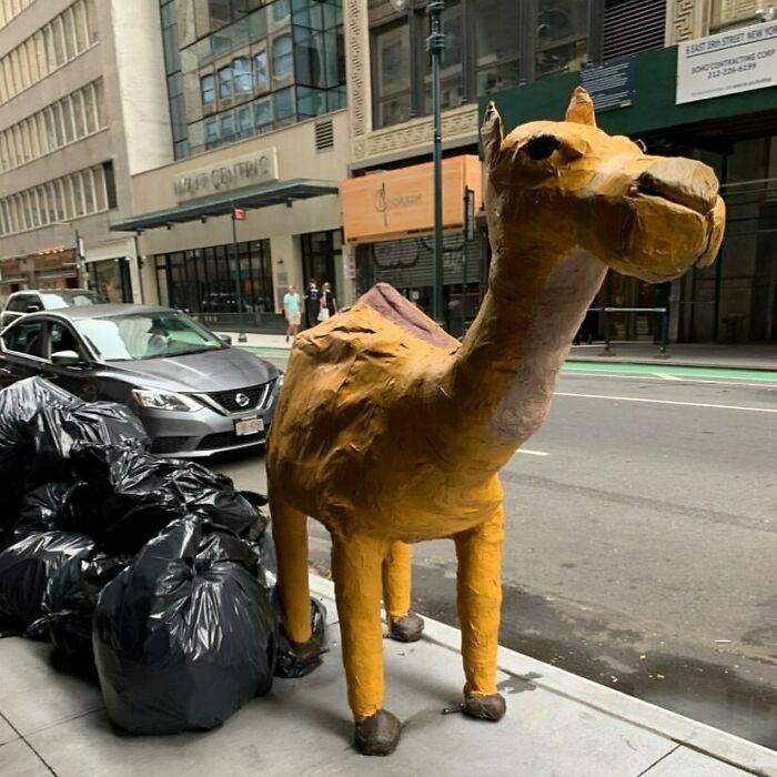 Have You Been Thinking 'All That’s Missing From My Home Decor Is A Giant, Papier Mache Camel?'