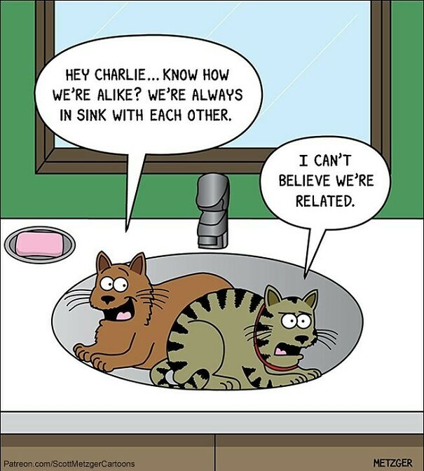 🙄 #caturday #cats #pun
patreon.com/Scottmetzgercartoons