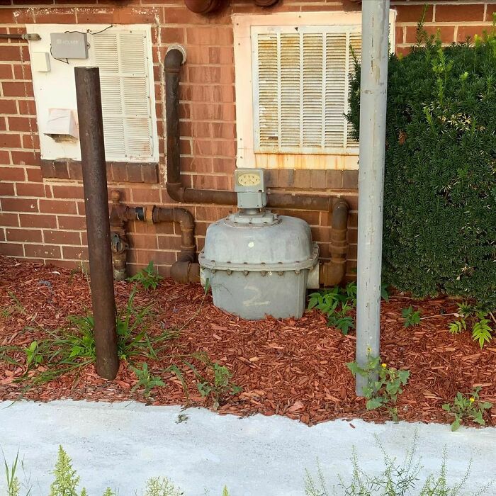 Water Daily! Growing A Gas Meter!