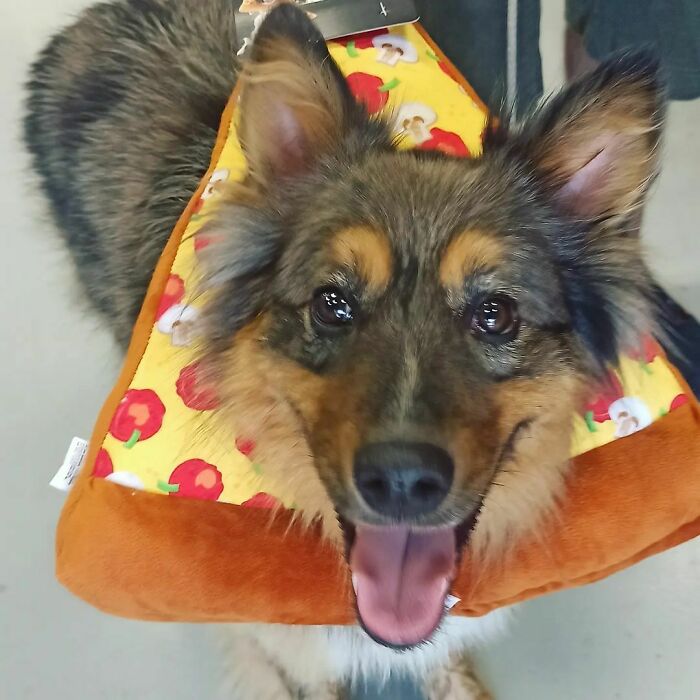Going As Pizza For Halloween