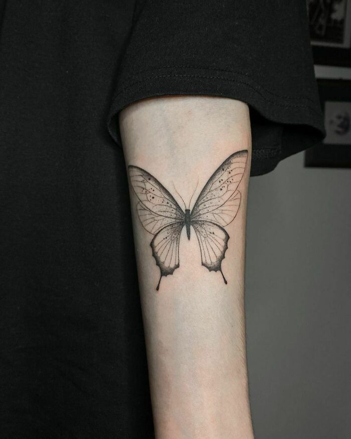 A Butterfly